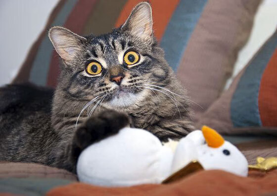 爵士三分暴雨淹没步行者,杜兰特死神时刻宣告王座争夺战升级