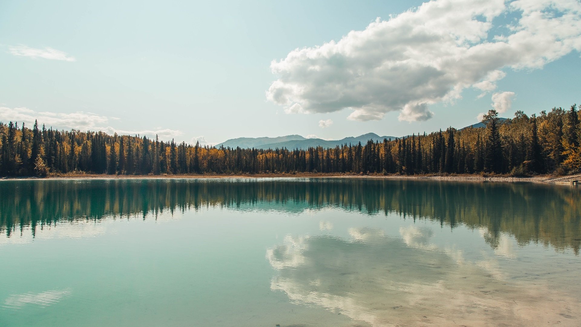 德里赫特,那道无法逾越的墙,让德甲争冠悬念一夜休止