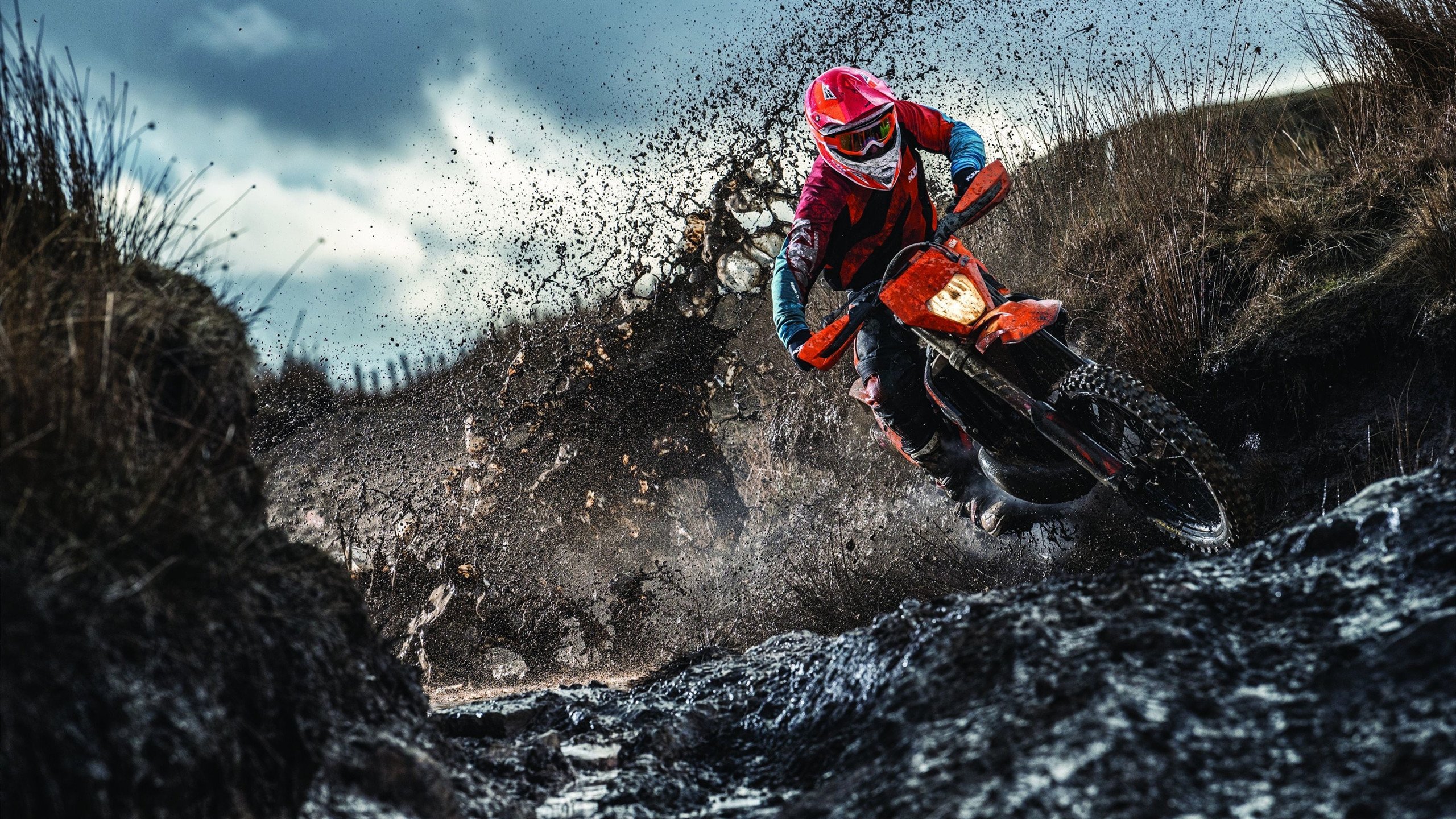 雪夜奇迹，当维京战吼淹没万达大都会，佩德里如何用一记惊雷改写北欧足球史？